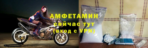 стаф Новокубанск
