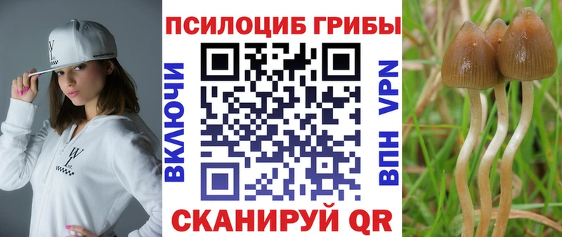 Псилоцибиновые грибы Psilocybine cubensis  Купить закладки  Покачи 