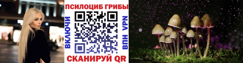 Псилоцибиновые грибы GOLDEN TEACHER Покачи