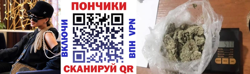 Купить где  Покачи  Каннабис конопля 